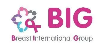 BIG Logo