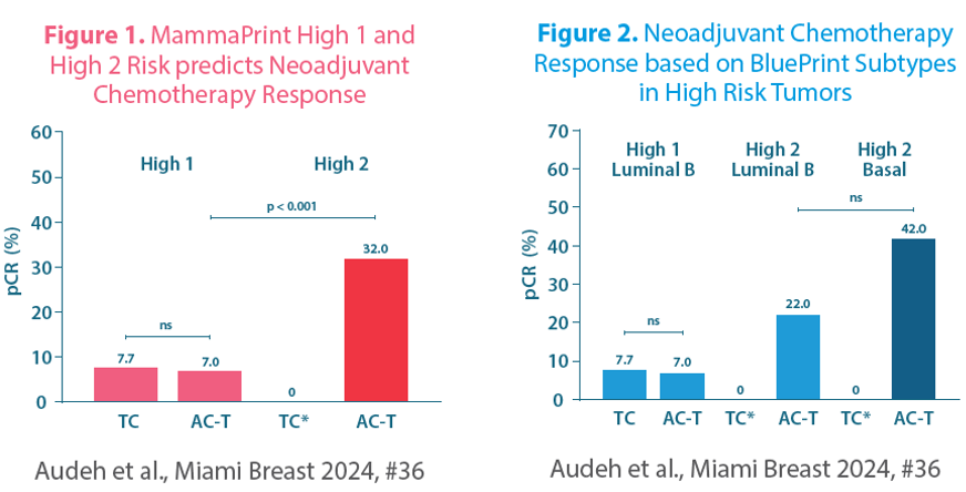 Neoadjuvant CT Selection Data